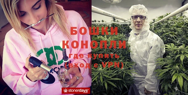 ПСИЛОЦИБИНОВЫЕ ГРИБЫ Лагань