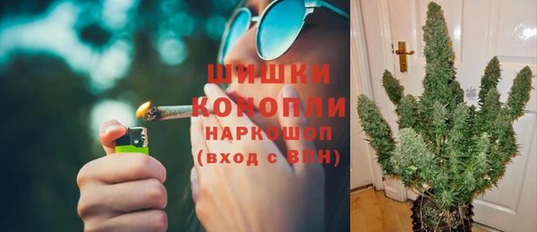 прущие грибы Волосово