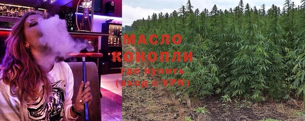 гидра Володарск