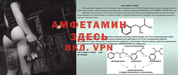 ГАЛЛЮЦИНОГЕННЫЕ ГРИБЫ Карабаново