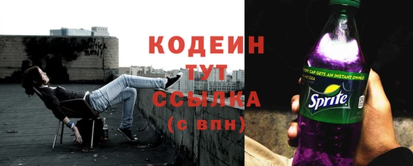 гидра Володарск