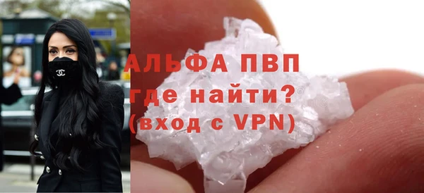 гидра Володарск