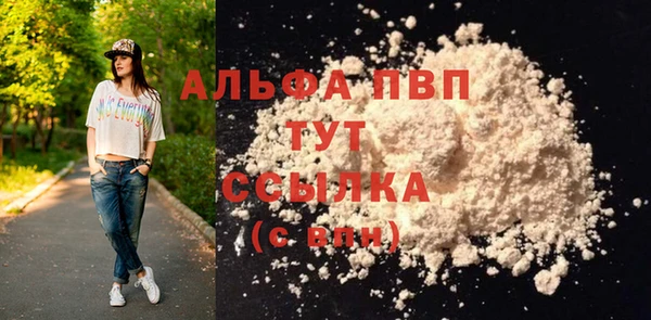 прущие грибы Волосово