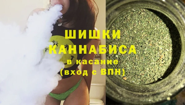прущие грибы Усинск
