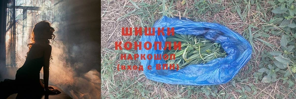 прущие грибы Волосово