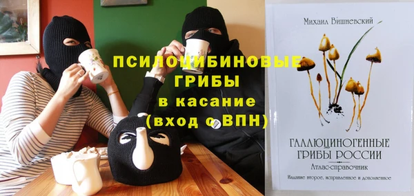 прущие грибы Волосово