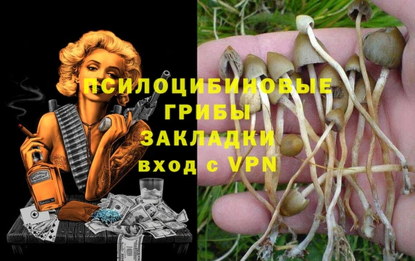 гидропоника Волоколамск
