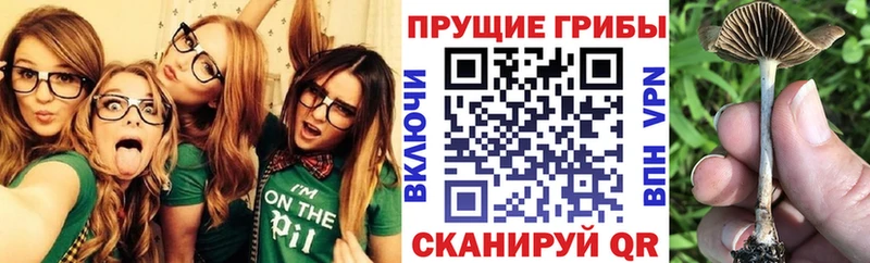 Галлюциногенные грибы Psilocybe  это формула  Меленки 